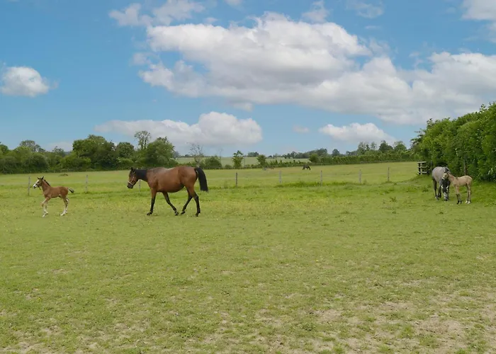 Ferienhaus Le Du Haras - Petite Maison Au Calme